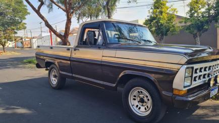 Ford F-1000 F1000 3.9 (Blazer)