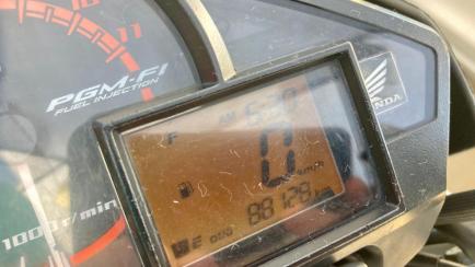 Honda CB 300R Cb 300R (Flex)