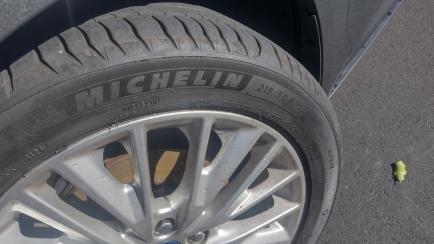 Ford Focus Sedan SE Plus 2.0 PowerShift